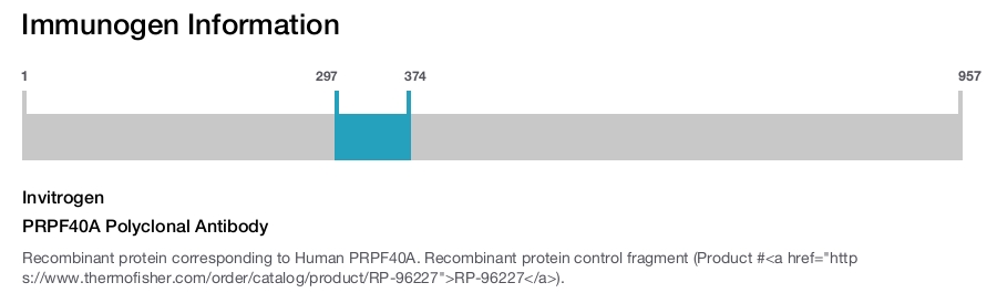 PRPF40A Polyclonal Antibody