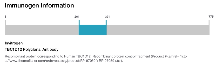 TBC1D12 Polyclonal Antibody