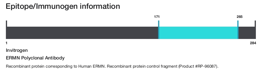 ERMN Polyclonal Antibody