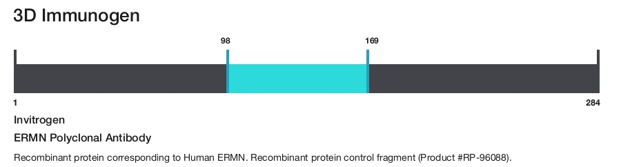 ERMN Polyclonal Antibody
