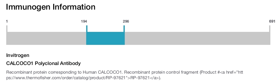 CALCOCO1 Polyclonal Antibody