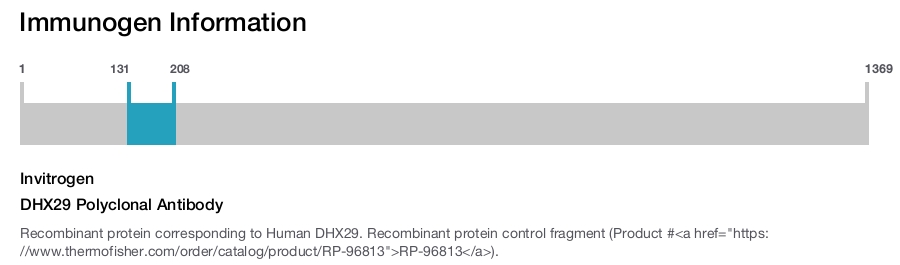 DHX29 Polyclonal Antibody
