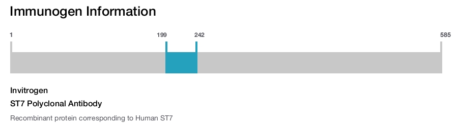 ST7 Polyclonal Antibody