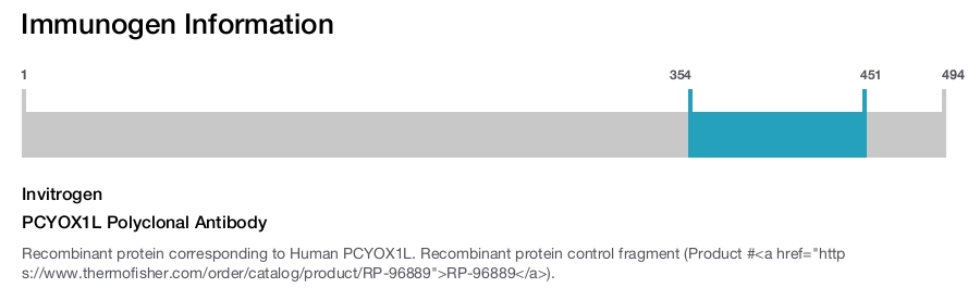 PCYOX1L Polyclonal Antibody