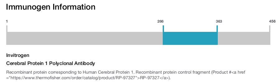 Cerebral Protein 1 Polyclonal Antibody