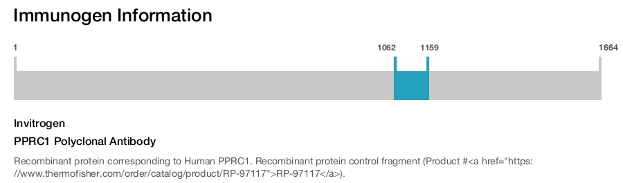 PPRC1 Polyclonal Antibody