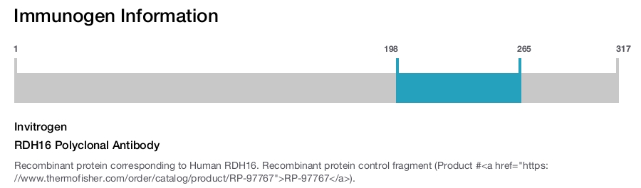 RDH16 Polyclonal Antibody