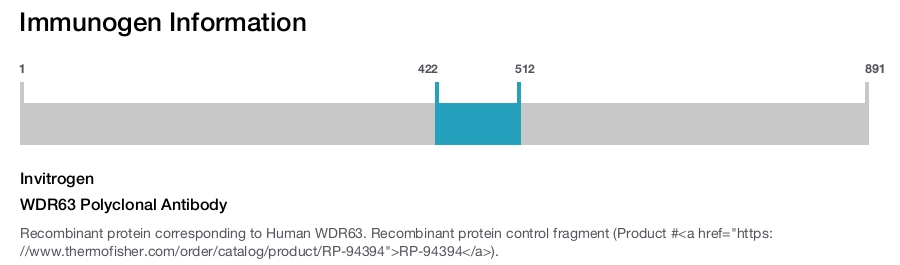 WDR63 Polyclonal Antibody