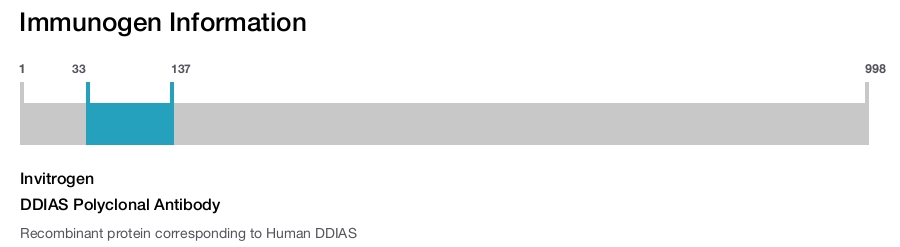 DDIAS Polyclonal Antibody