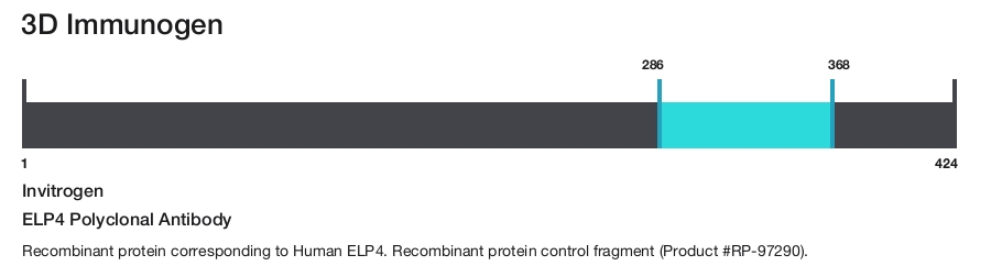 ELP4 Polyclonal Antibody