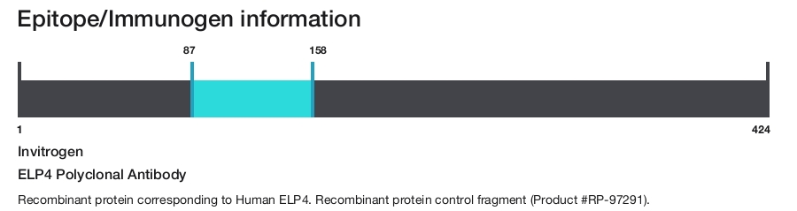 ELP4 Polyclonal Antibody