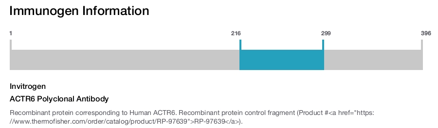 ACTR6 Polyclonal Antibody