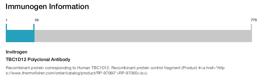 TBC1D12 Polyclonal Antibody