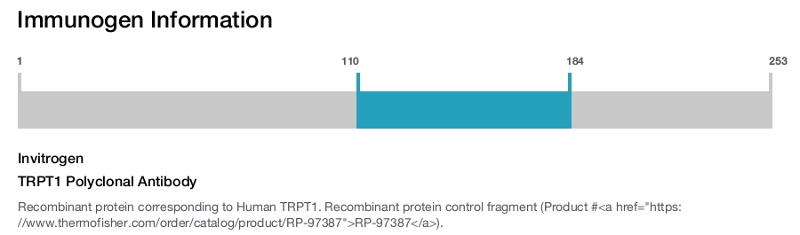 TRPT1 Polyclonal Antibody