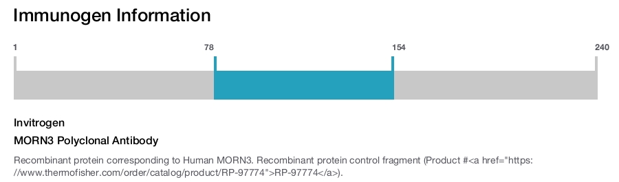MORN3 Polyclonal Antibody
