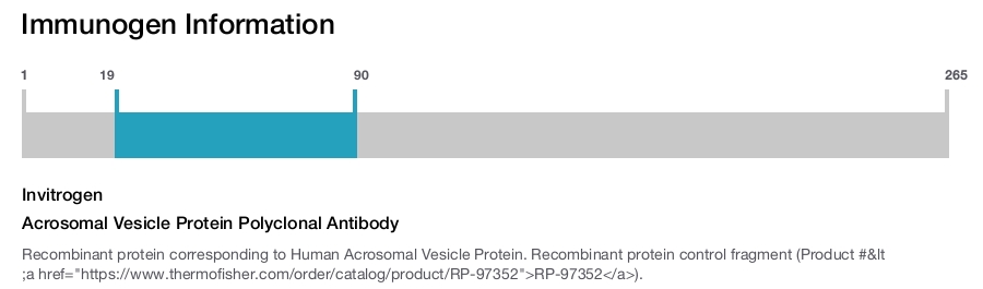 Acrosomal Vesicle Protein Polyclonal Antibody