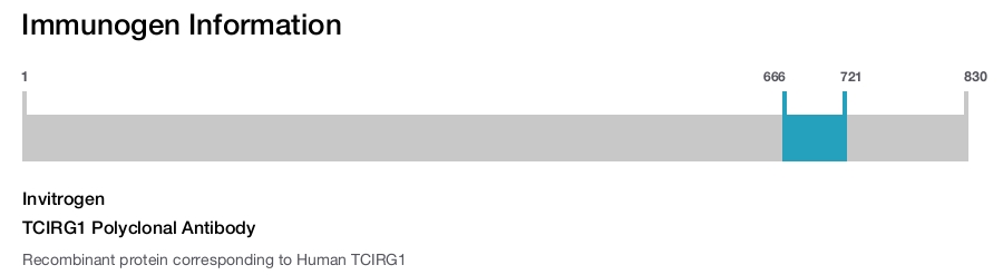 TCIRG1 Polyclonal Antibody