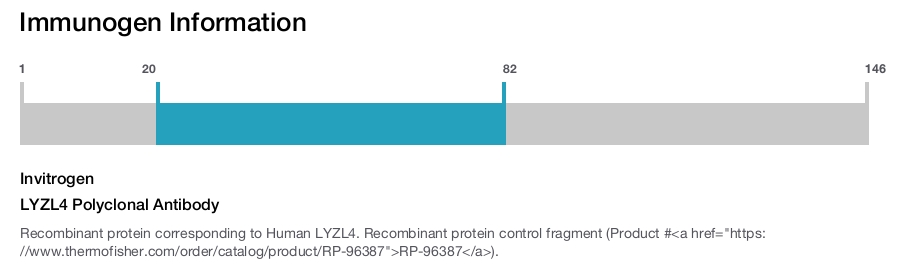 LYZL4 Polyclonal Antibody