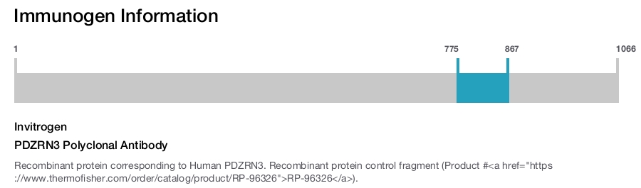 PDZRN3 Polyclonal Antibody