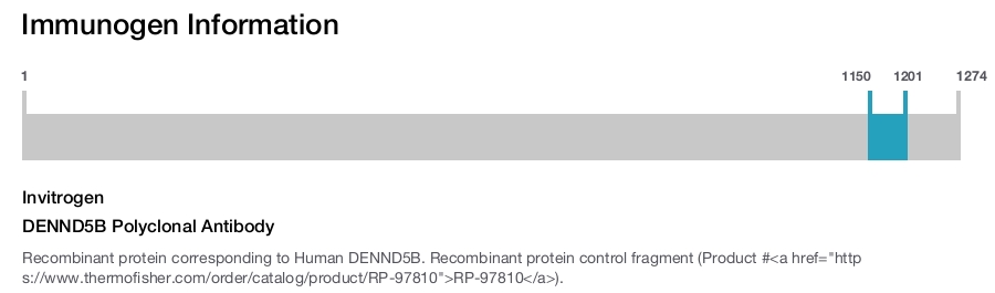 DENND5B Polyclonal Antibody