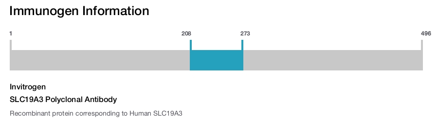 SLC19A3 Polyclonal Antibody