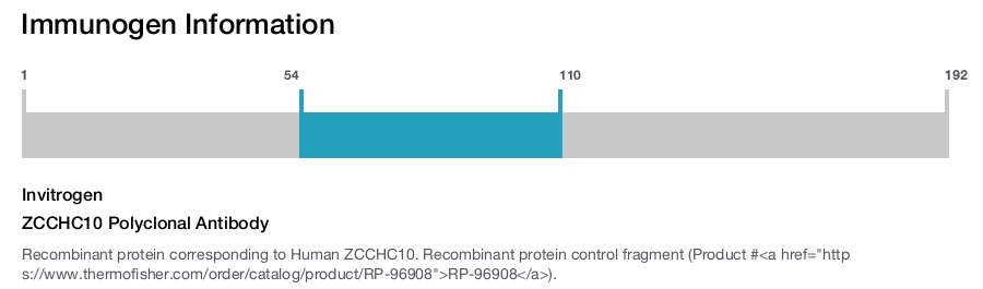 ZCCHC10 Polyclonal Antibody