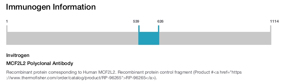 MCF2L2 Polyclonal Antibody