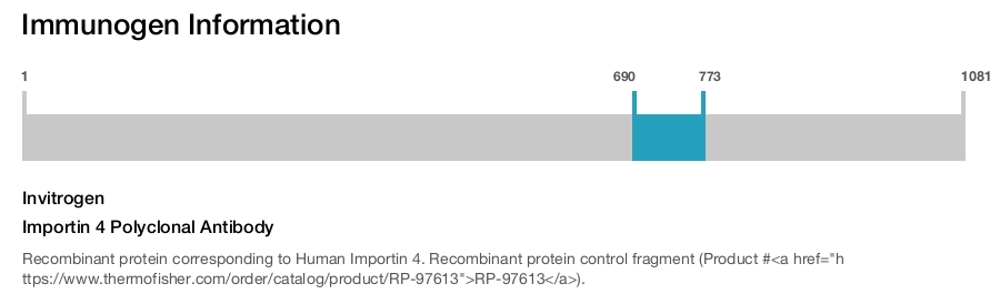 Importin 4 Polyclonal Antibody