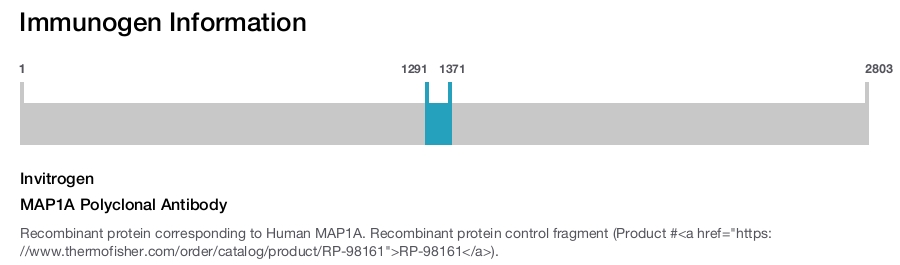 MAP1A Polyclonal Antibody