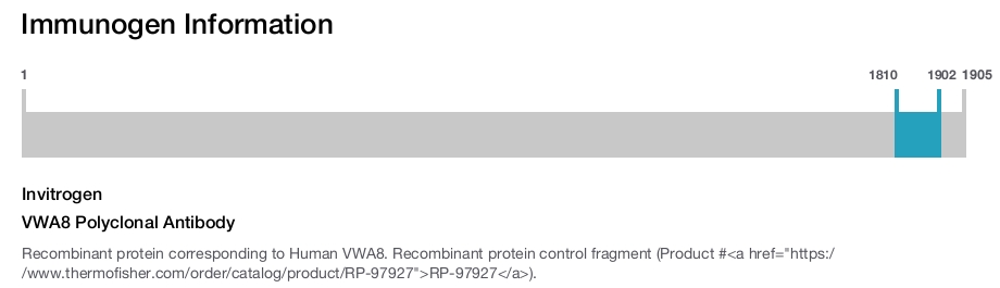 VWA8 Polyclonal Antibody