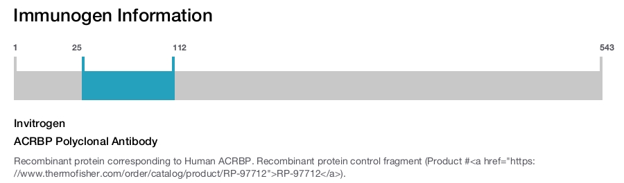 ACRBP Polyclonal Antibody