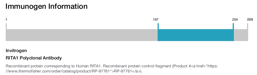 RITA1 Polyclonal Antibody