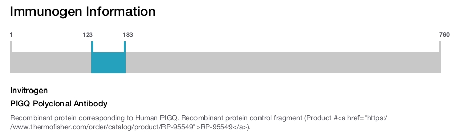 PIGQ Polyclonal Antibody
