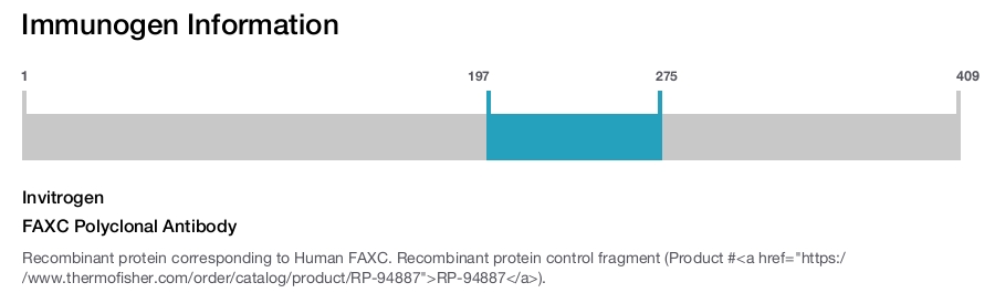 FAXC Polyclonal Antibody