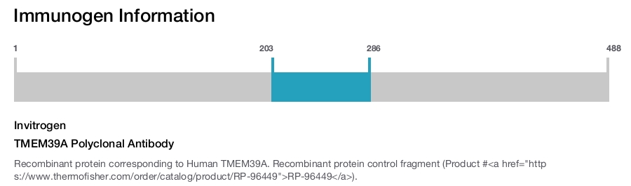 TMEM39A Polyclonal Antibody