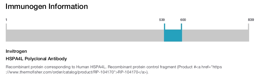 HSPA4L Polyclonal Antibody