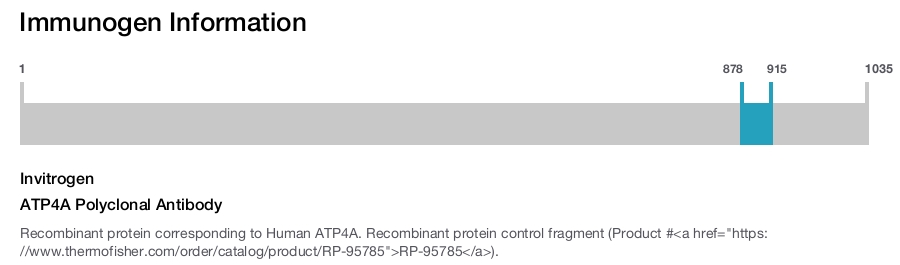 ATP4A Polyclonal Antibody