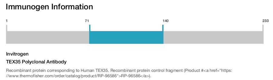 TEX35 Polyclonal Antibody