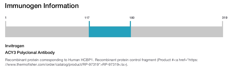 ACY3 Polyclonal Antibody