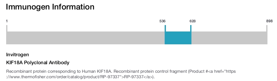 KIF18A Polyclonal Antibody