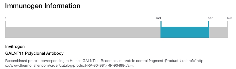 GALNT11 Polyclonal Antibody