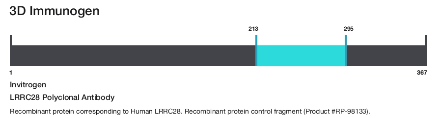 LRRC28 Polyclonal Antibody