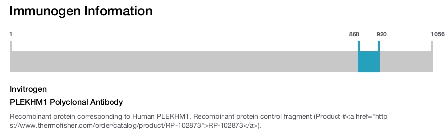 PLEKHM1 Polyclonal Antibody