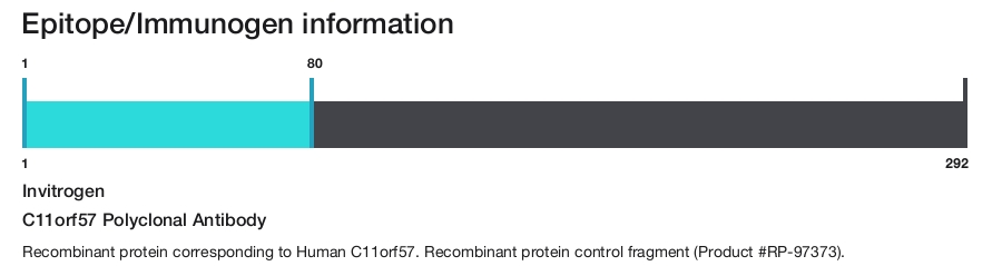 C11orf57 Polyclonal Antibody