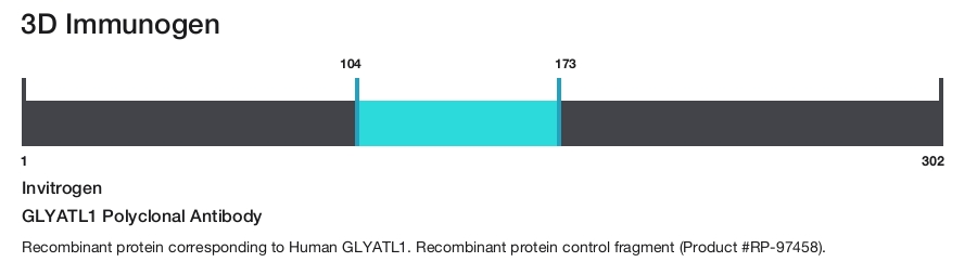 GLYATL1 Polyclonal Antibody