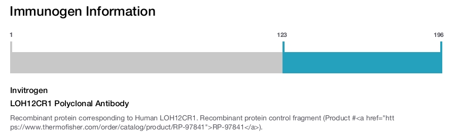 LOH12CR1 Polyclonal Antibody