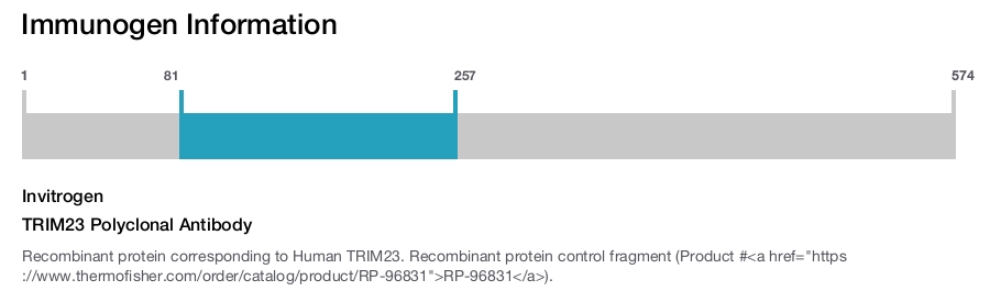 TRIM23 Polyclonal Antibody