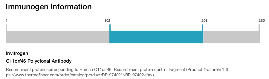 C11orf46 Polyclonal Antibody