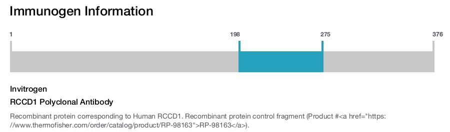RCCD1 Polyclonal Antibody