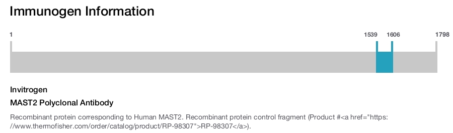 MAST2 Polyclonal Antibody